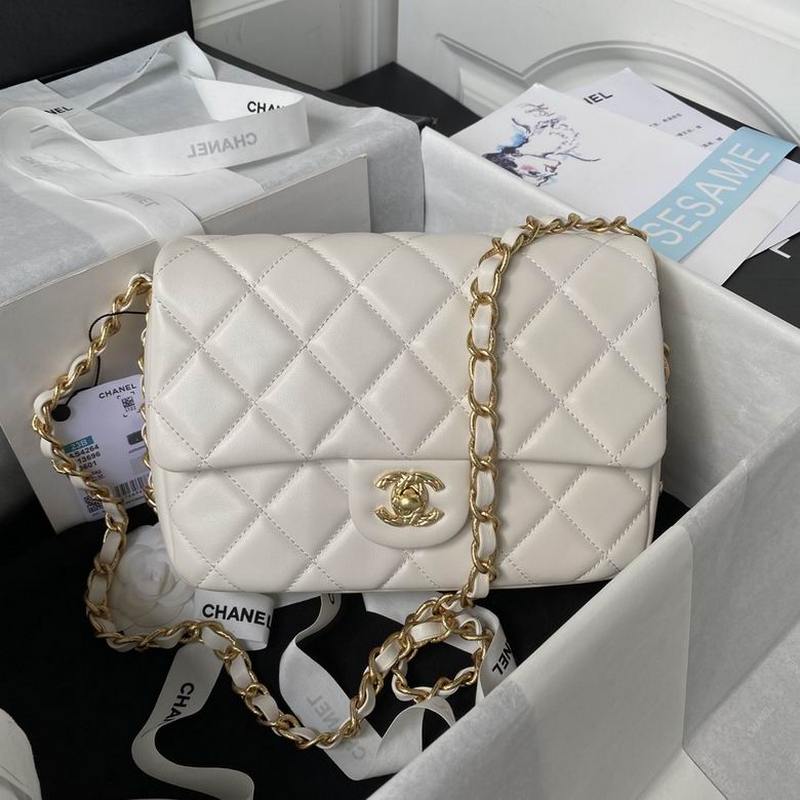 Chanel Handbags 563